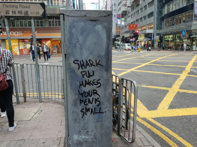 Auch ein Protest in Hongkong; Foto Stefan Kobel