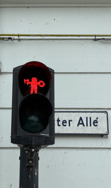 Viking warriors spotted in Denmark - Photo Stephan Zilkens