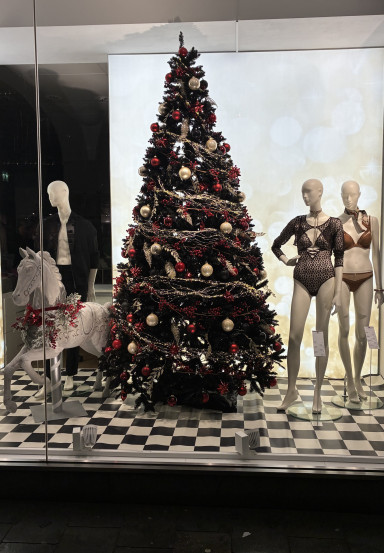Christmas is beneath the underwear... - seen in Münster - Photo Stephan Zilkens